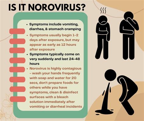 is norovirus going around 2023